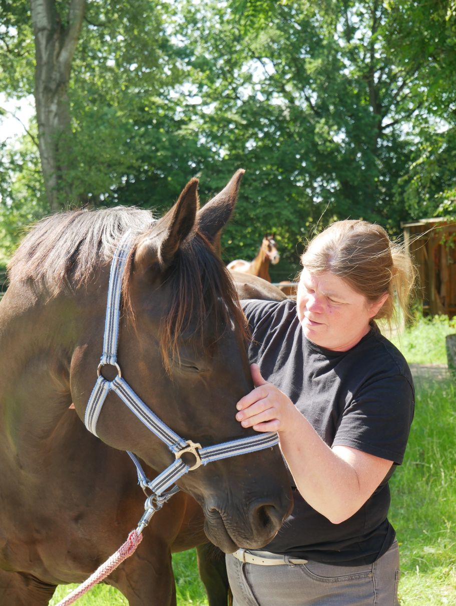 Manuelle Osteopathie beim Pferd