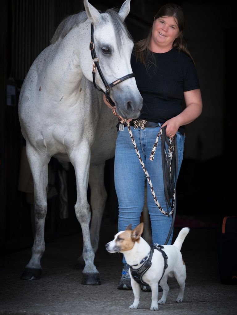 Manuelle Osteopathie beim Pferd